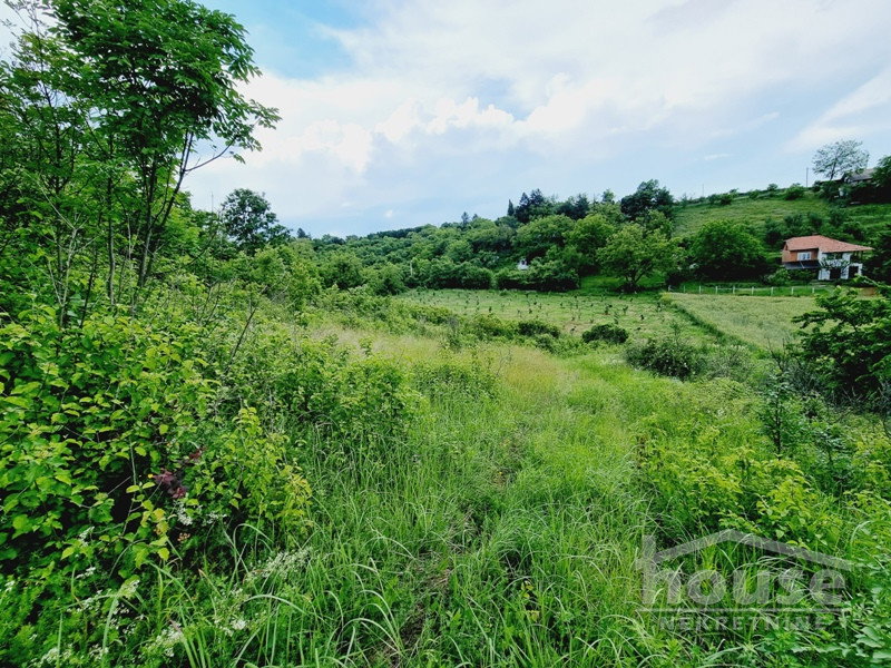 Plac Prodaja Novi Sad Plac Prodaja Novi Sad 8470 m2