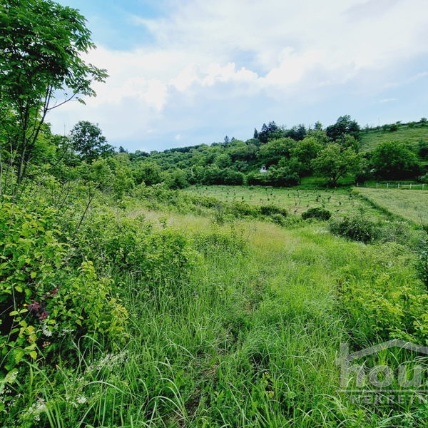 Plac Prodaja Novi Sad  8470 m2