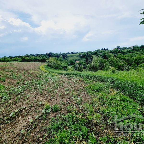 Plac na prodaju, Čortanovci, Inđija, 8470m², 103.000 €