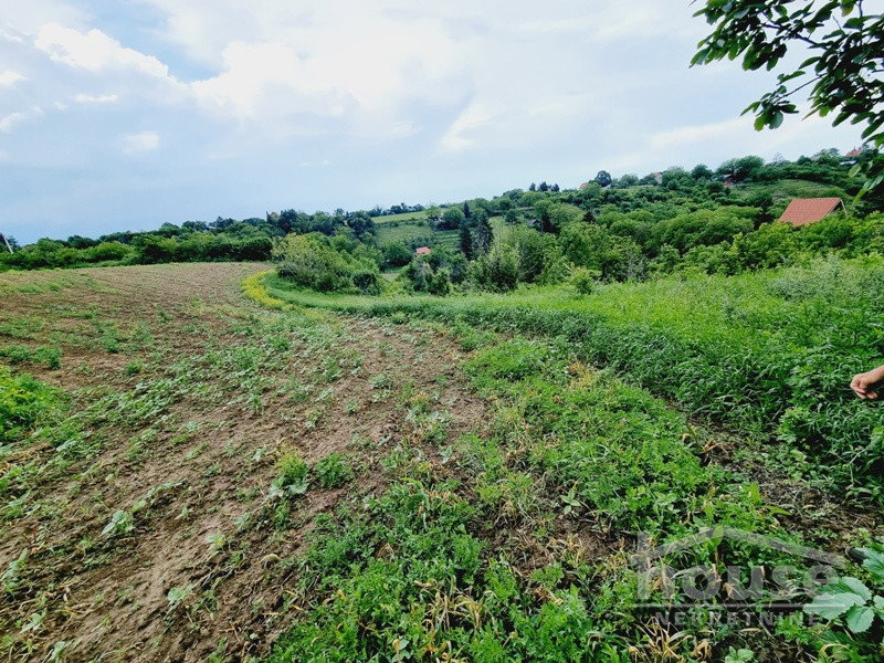 placevi-Cortanovci-7080996-yfpuw Plac na prodaju, Čortanovci, Inđija, 8470m², 103.000 €