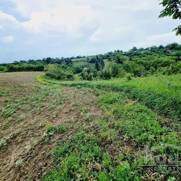 Plac na prodaju, Čortanovci, Inđija, 8470m², 103.000 €