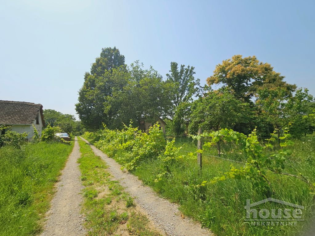 Plac Prodaja Novi Sad Plac Prodaja Novi Sad 656 m2