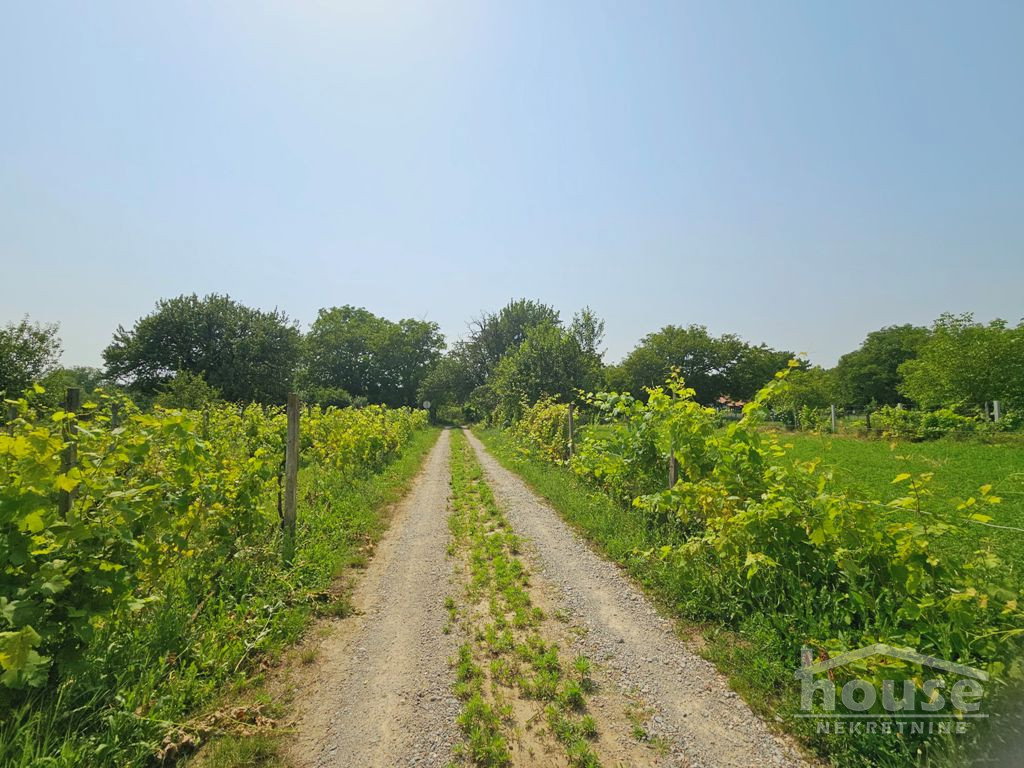 placevi-baCko-gradiSte-7081007-ltghi Plac na prodaju, Bačko Gradište, Bečej, 983m², 47.000 €