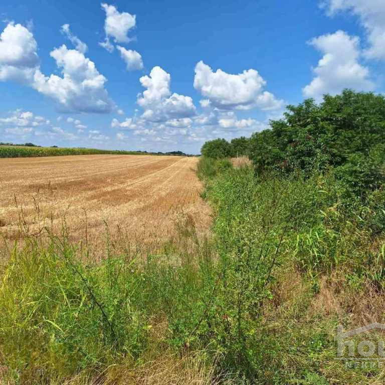 Plac na prodaju, Begeč, Novi Sad, 11523m², 185.400 €