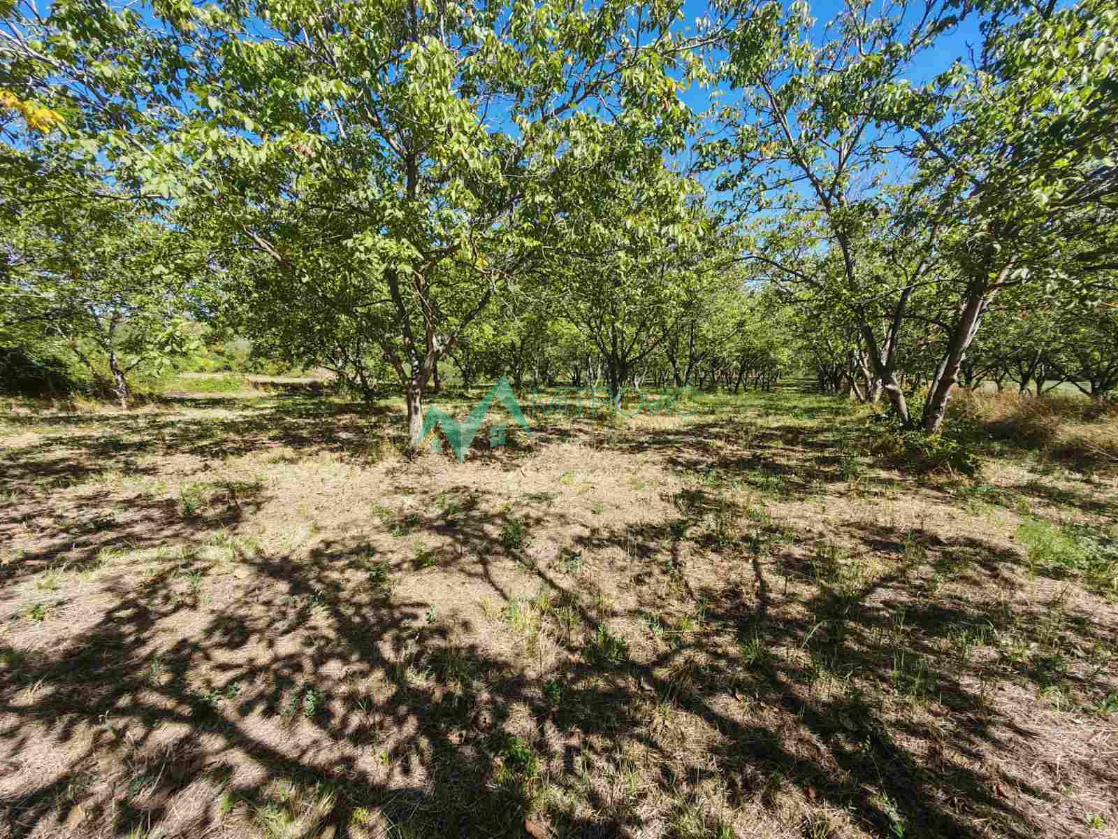 placevi-bukovac-7000116-wwu7u Plac na prodaju, Bukovac, Novi Sad, 49059m², 1.010.615 €