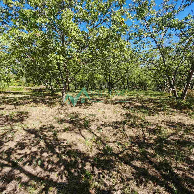 Plac na prodaju, Bukovac, Novi Sad, 49059m², 1.010.615 €