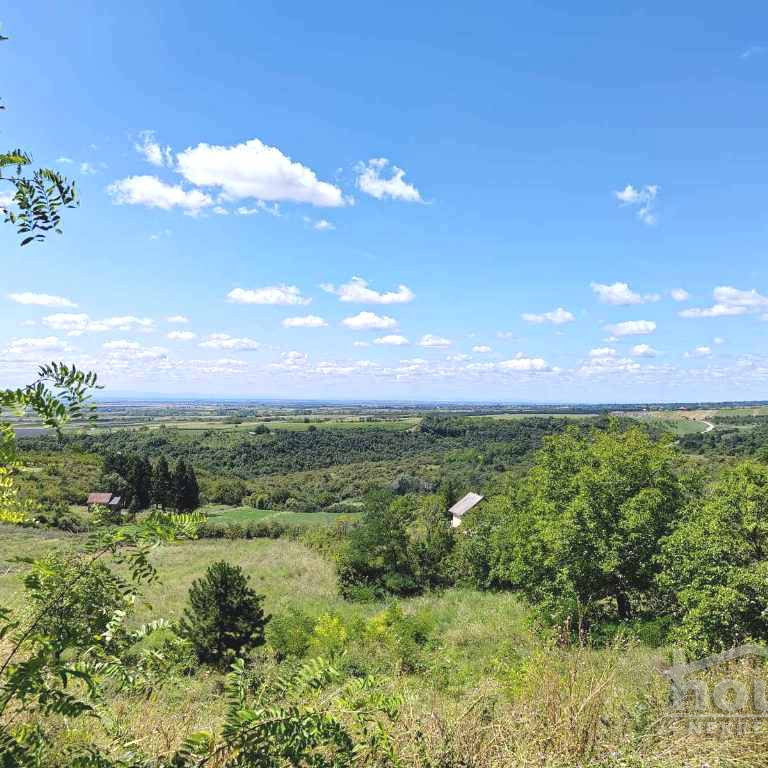 Plac Prodaja Novi Sad  5050 m2