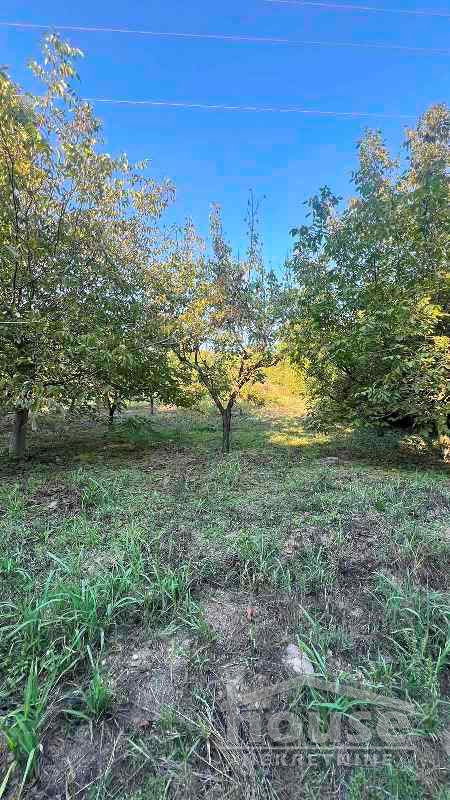 Plac Prodaja Novi Sad Plac Prodaja Novi Sad 1145 m2