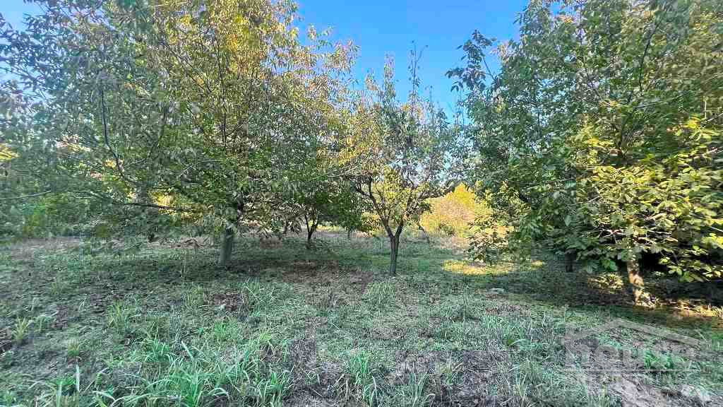 Plac Prodaja Novi Sad Plac Prodaja Novi Sad 1145 m2