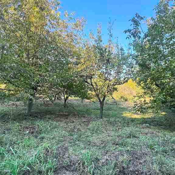 Plac Prodaja Novi Sad  1145 m2