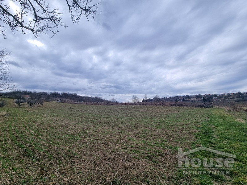 Plac Prodaja Novi Sad  6820 m2