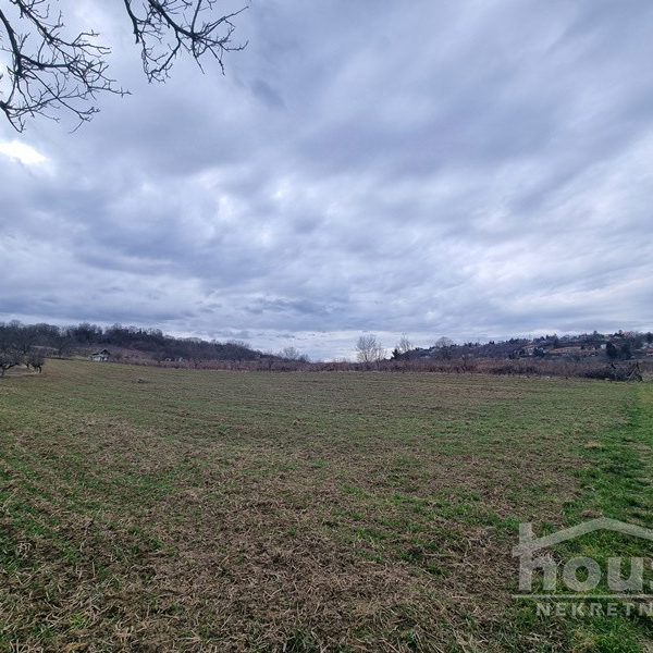 Plac Prodaja Novi Sad  6820 m2