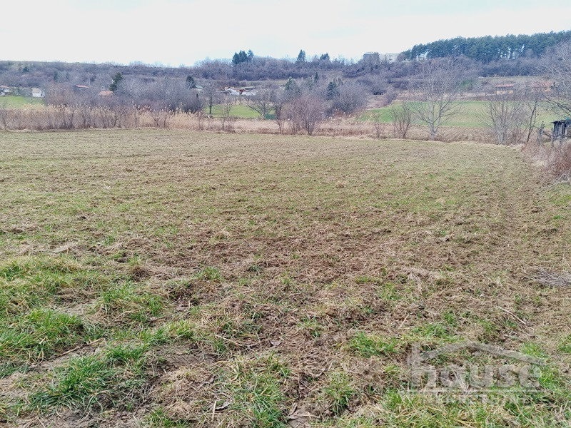 Plac Prodaja Novi Sad  6820 m2