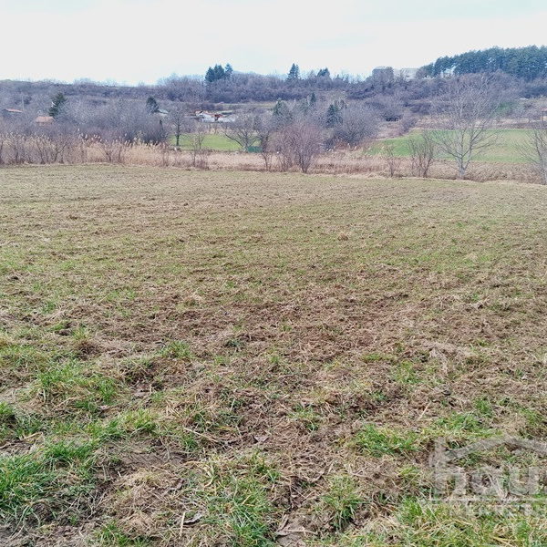 Plac Prodaja Novi Sad  6820 m2