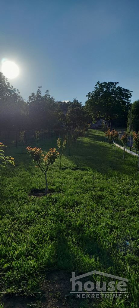 Plac Prodaja Novi Sad  427 m2