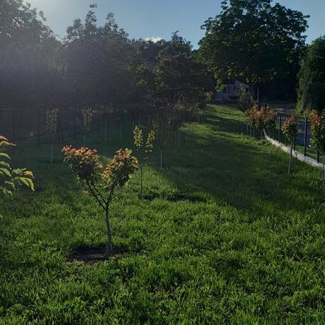 Plac Prodaja Novi Sad  427 m2
