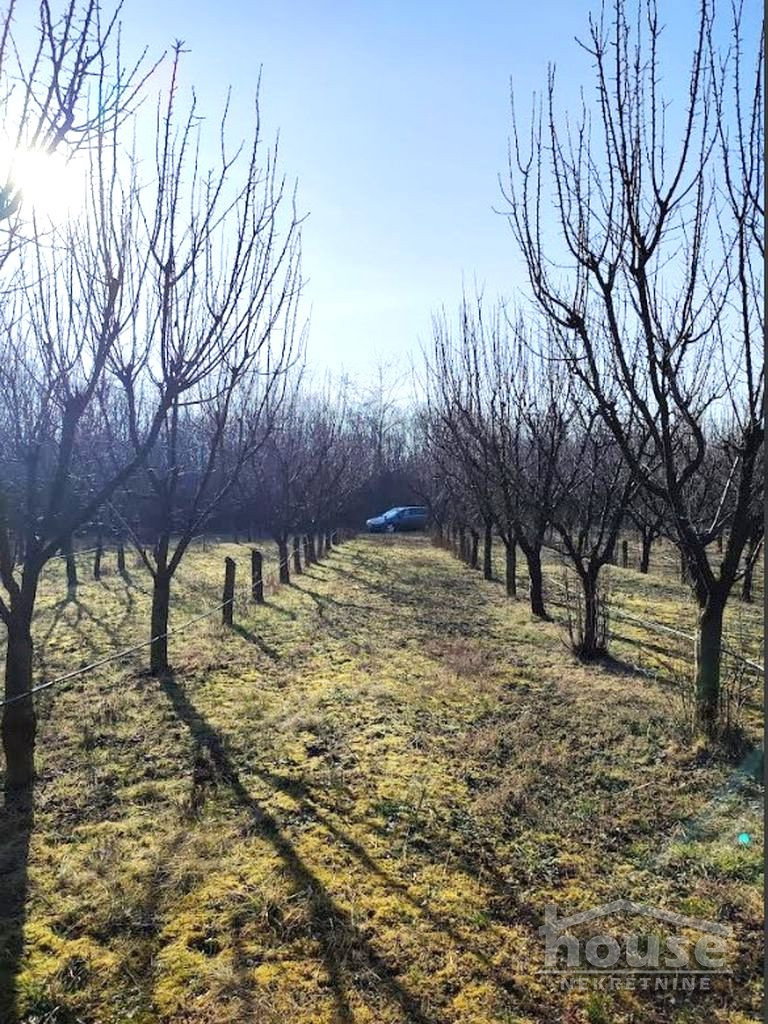 Plac Prodaja Novi Sad  11019 m2