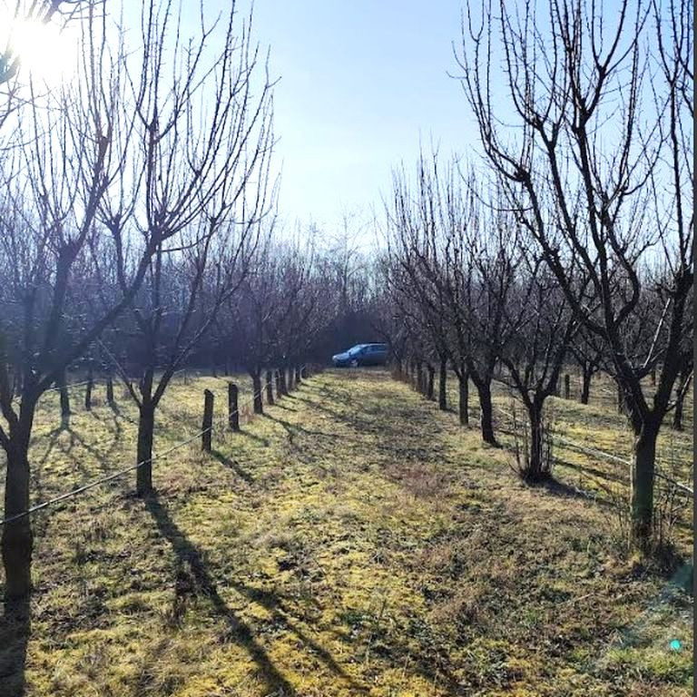 Plac Prodaja Novi Sad  11019 m2