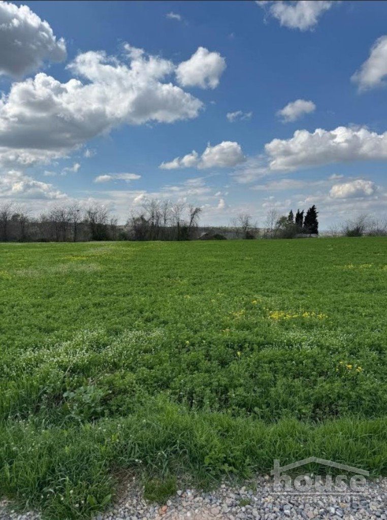 Plac Prodaja Novi Sad Plac Prodaja Novi Sad 1438 m2