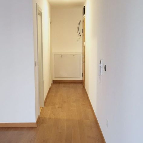 Stan Prodaja Novi Sad  50 m2