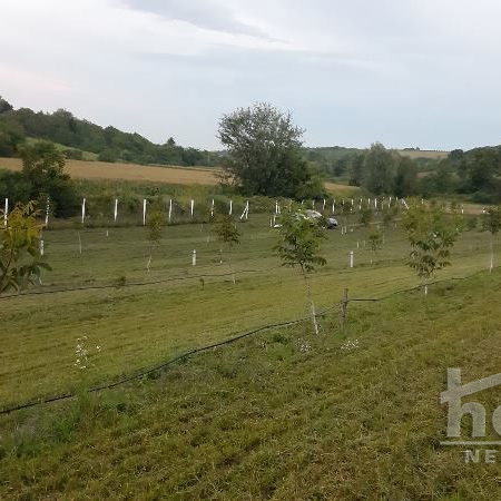 Plac na prodaju, Čortanovci, Inđija, 9711m², 72.100 €