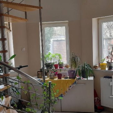 Kuća Prodaja Novi Sad  194 m2