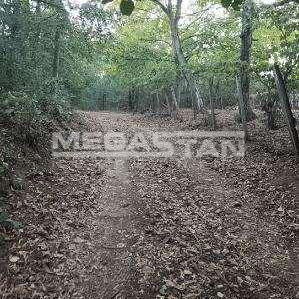 Plac na prodaju, Šiljakovac, Beograd, 40.000 €