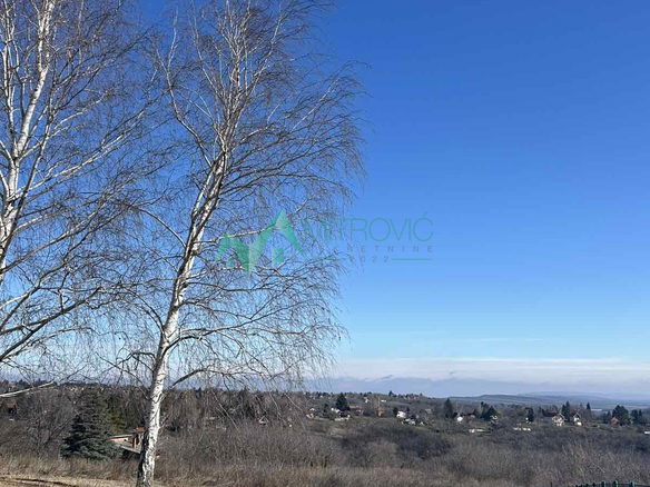 Plac Prodaja Čortanovci  1500 m2