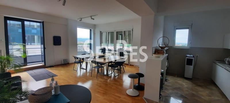 Lokal Izdavanje Novi Sad Lokal Izdavanje Novi Sad 312 m2
