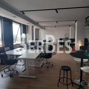 Lokal Izdavanje Novi Sad  312 m2