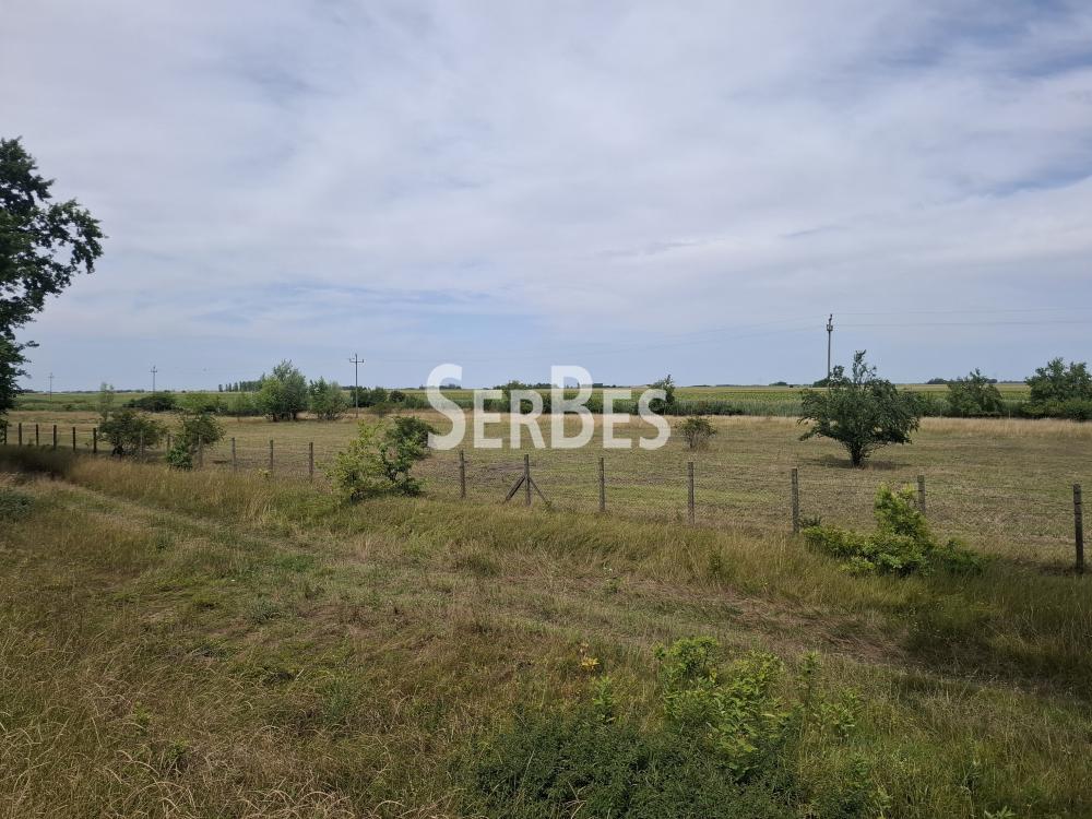 Plac Prodaja Novi Sad Plac Prodaja Novi Sad 0 m2