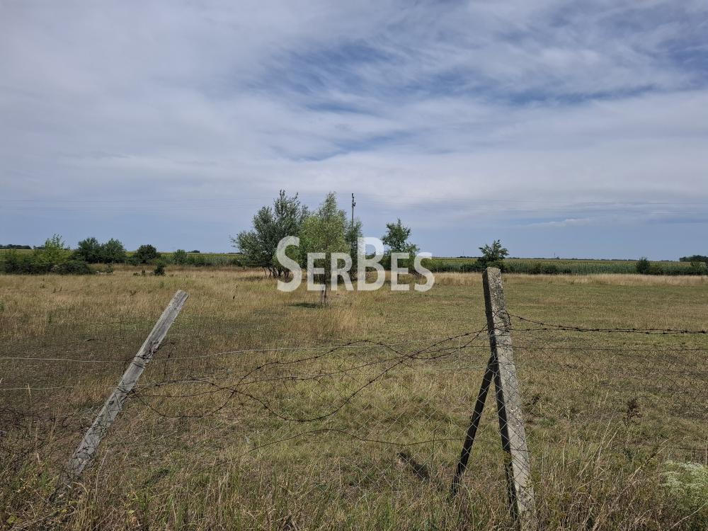 211001856-10-20260721123621 Plac na prodaju, Čenej, Novi Sad, 166.830 €
