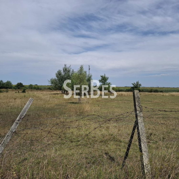 Plac na prodaju, Čenej, Novi Sad, 166.830 €