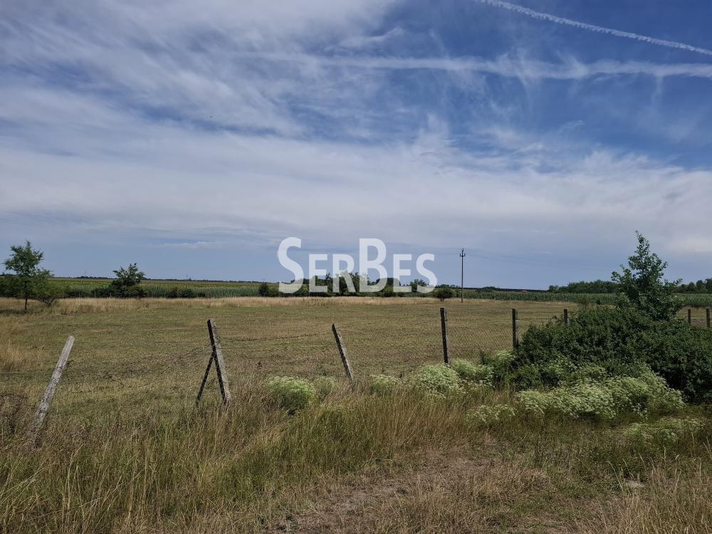 Plac Prodaja Novi Sad Plac Prodaja Novi Sad 0 m2