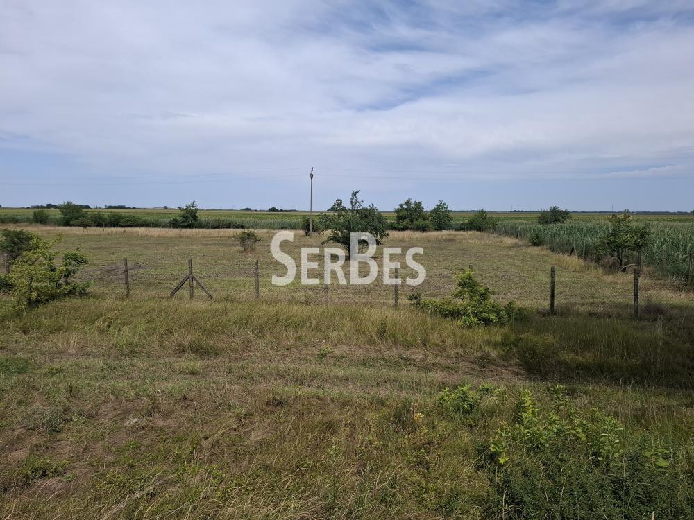 Plac Prodaja Novi Sad Plac Prodaja Novi Sad 0 m2