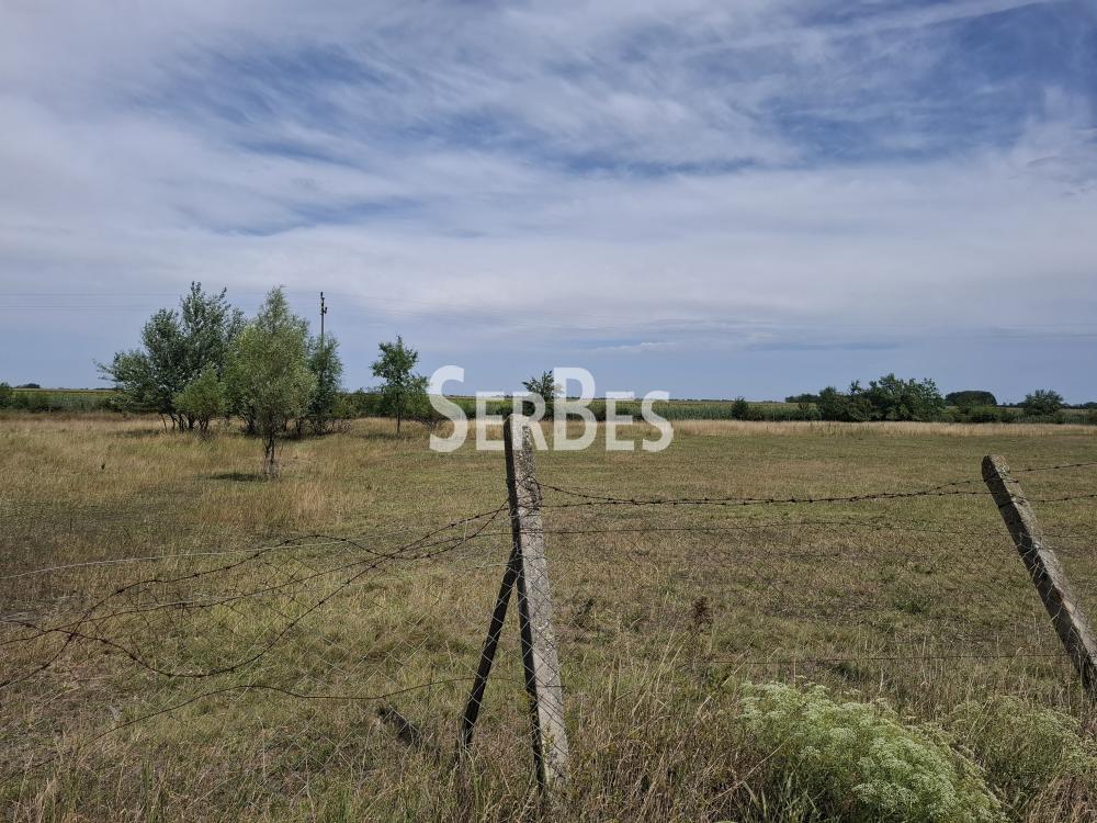211001856-9-20260721123620 Plac na prodaju, Čenej, Novi Sad, 166.830 €