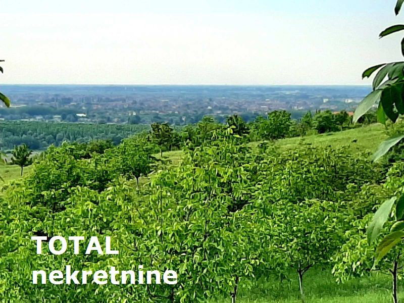 Plac Prodaja Novi Sad  9928 m2