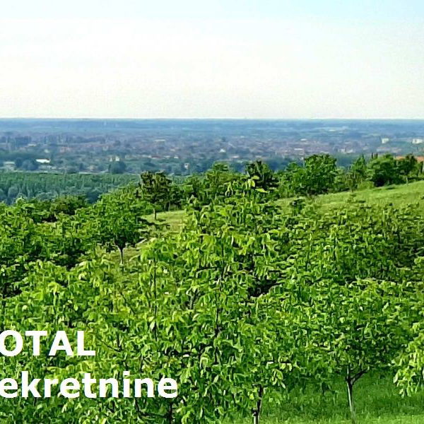 Plac Prodaja Novi Sad  9928 m2