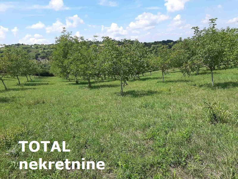 Plac Prodaja Novi Sad  9928 m2