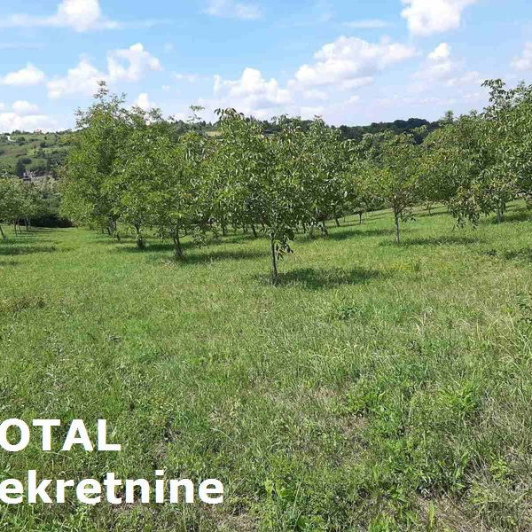 Plac Prodaja Novi Sad  9928 m2