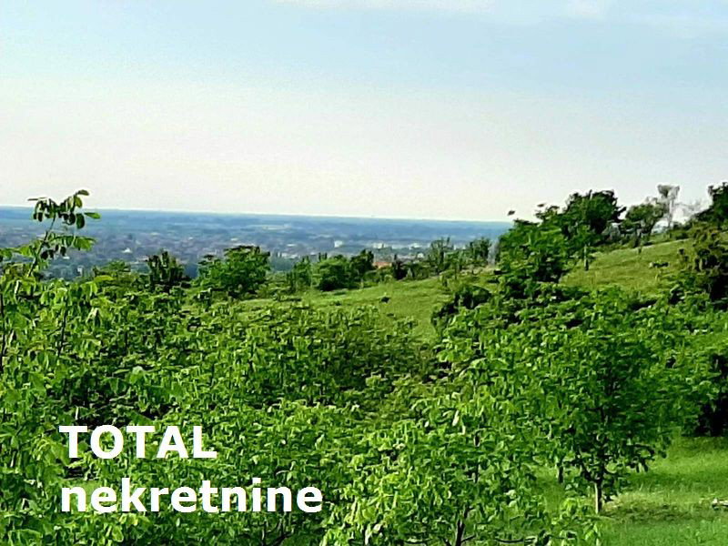 Plac Prodaja Novi Sad  9928 m2