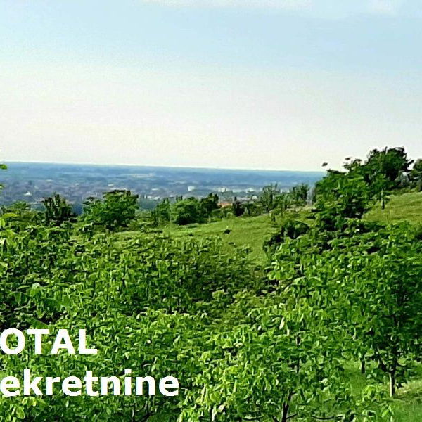 Plac Prodaja Novi Sad  9928 m2