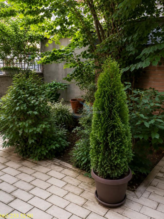 actionimagesite31agencygalerijanekimg0bhjyemrpx-15 Dvoiposoban stan na prodaju, Tašmajdan, Beograd, 78m², 295.000 €