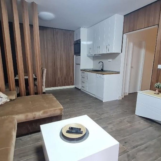 Dvoiposoban stan za izdavanje, Novi Beograd, Beograd, 50m², 900 €/mes