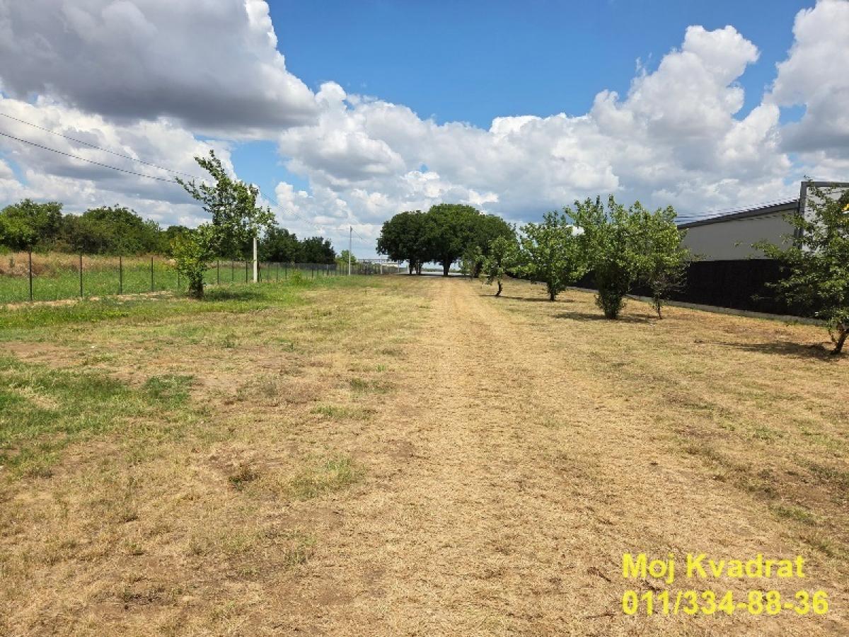 actionimagesite31agencykvadratimg36zpavaz24-5 Plac za izdavanje, Surčin, Beograd, 25 ari, 3.000 €/mes