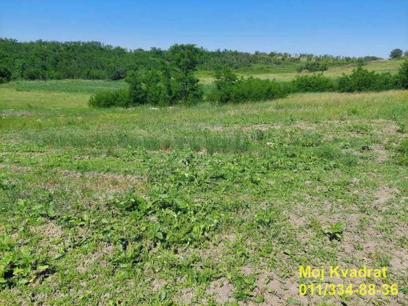 Plac na prodaju, Erdevik, Šid, 102,9 ari, 12.000 €