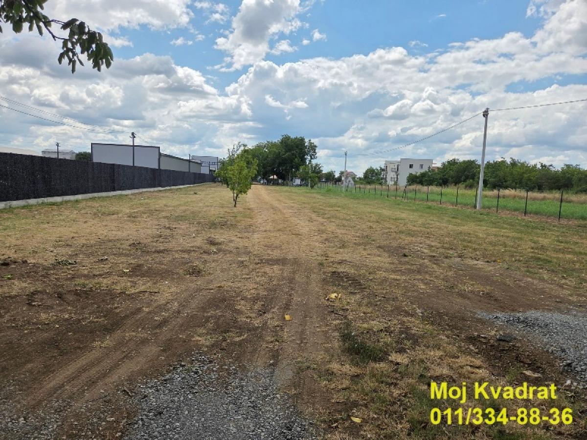 actionimagesite31agencykvadratimge7ak2hkzr3-1 Plac za izdavanje, Surčin, Beograd, 25 ari, 3.000 €/mes