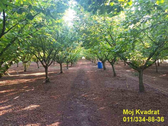 Plac na prodaju, Nova Pazova, Stara Pazova, 114,13 ari, 72.000 €