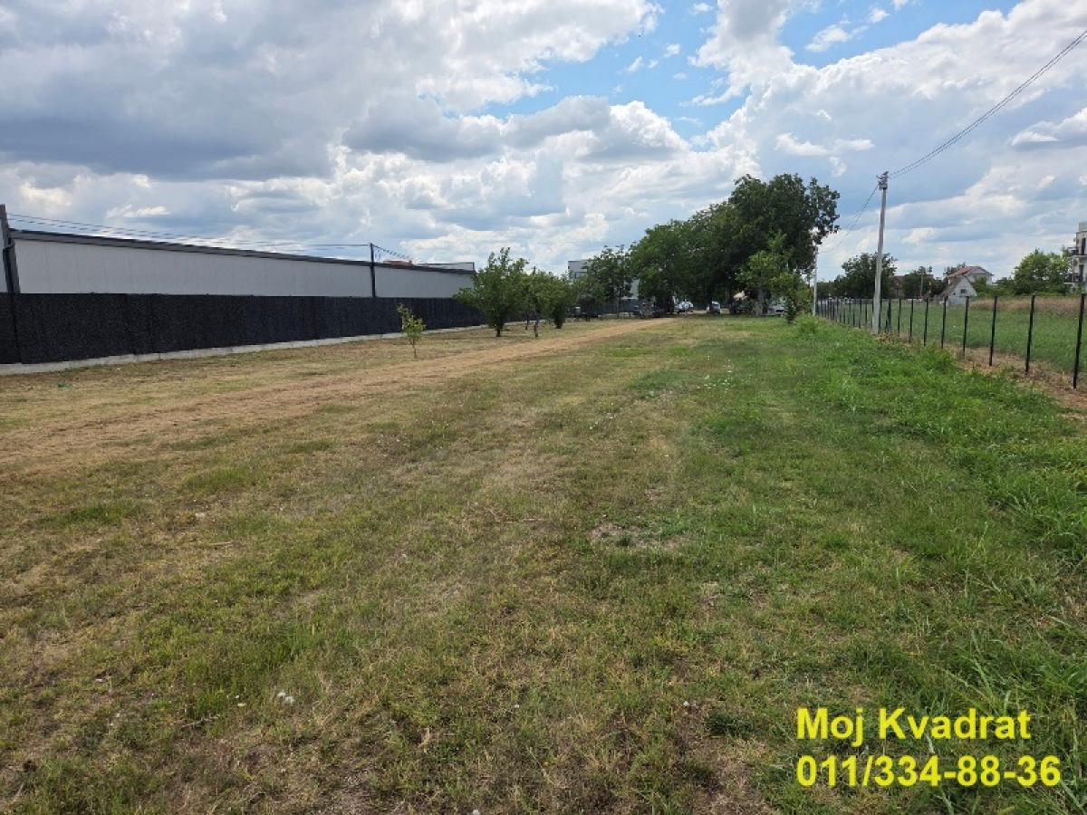 actionimagesite31agencykvadratimgjpvvye7fxh-4 Plac za izdavanje, Surčin, Beograd, 25 ari, 3.000 €/mes