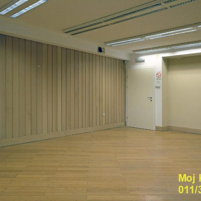 Lokal za izdavanje, Beograd Centar, Beograd, 195m², 2.000 €/mes